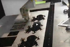 Fast Speed 1mm Stainless Steel Fiber Laser Cutting Machine Video.jpg