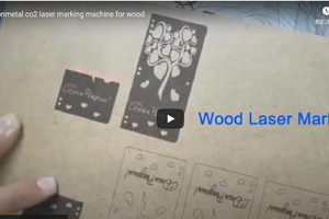 Nonmetal Wood Co2 Laser Marking Machine Video.jpg